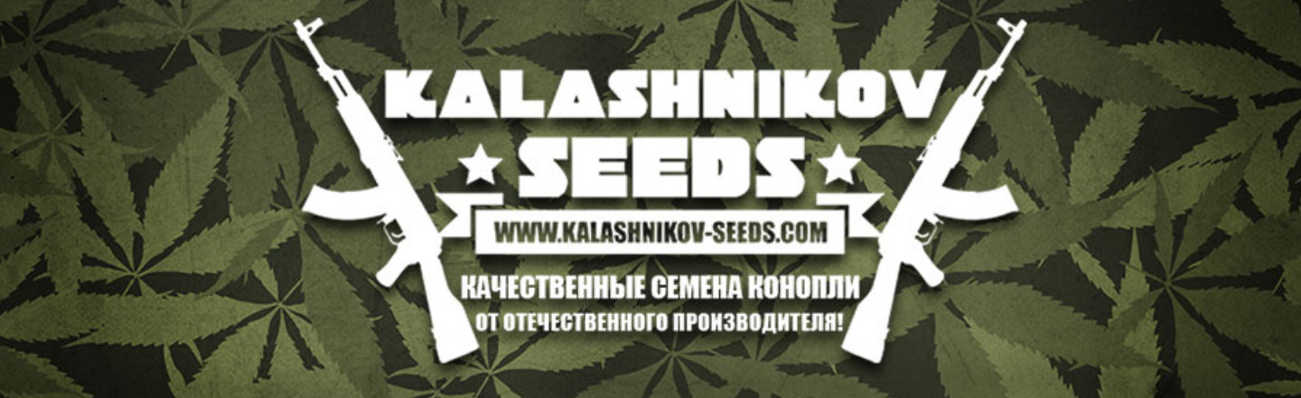 Kalashnikov Seeds